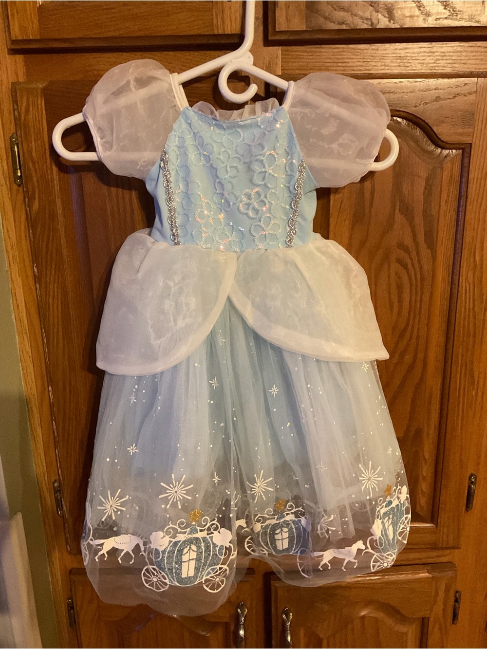 Disney Princess Cinderella Carriage Costume Dress Halloween